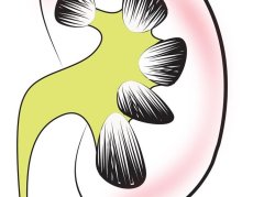 腰酸耳鸣与肾虚关联解析：症状识别与科学调理方法