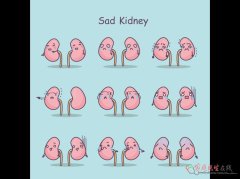 心肾不交与肾阴虚的区别是什么？中医教你正确辨证调理