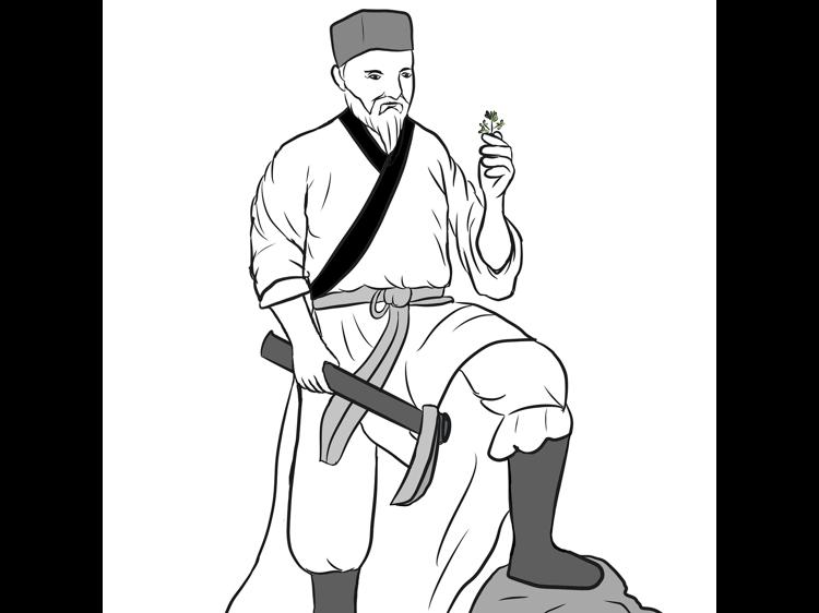 阳虚阴虚血虚怎么调?中医辨证调理指南帮你精准改善体质