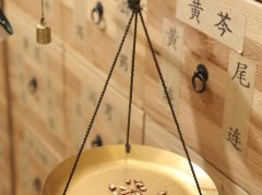 黄芪的功效与禁忌：补气健脾的科学用法及人群适用指南