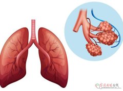 天南星治瘰疬痰核的功效原理及安全使用规范