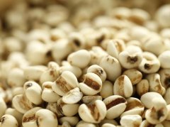 薏米治湿痹拘挛效果如何？中医解析祛湿健脾科学吃法与禁忌