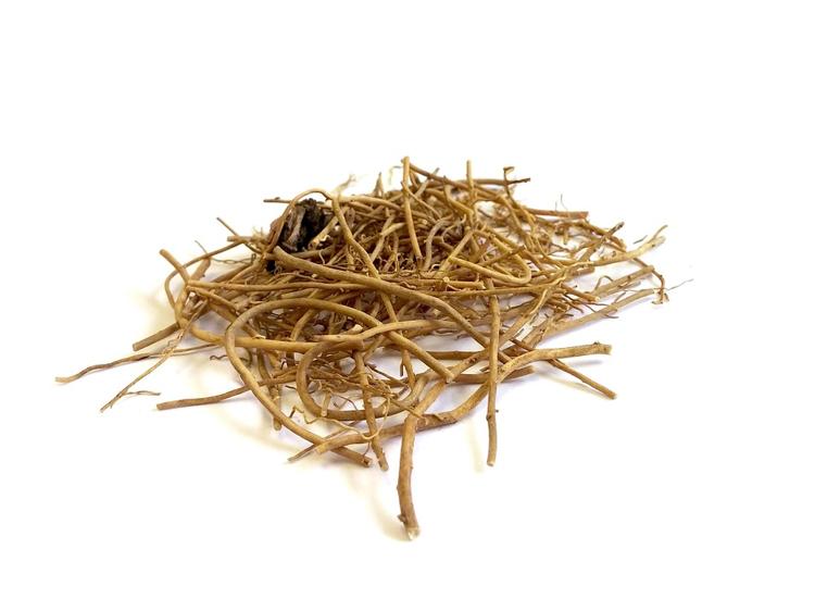 口干苔黄脸暗沉?中医湿热调理要点记牢