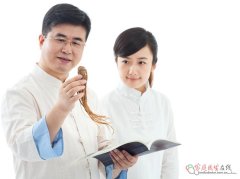 胎菊与人参能否一起泡水喝 清热补气搭配的注意事项