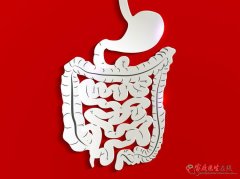舌白苔不等于湿气重！三大诱因及科学调理方法解析