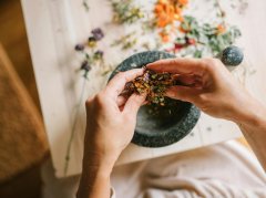 肾虚分型调理指南：枸杞茶杜仲茶菟丝子茶功效解析