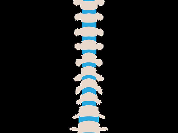 脊椎滑脱怎么治？分情况选对方法是关键