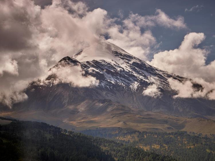 肾阳虚脾虚调理:饮食+用药指南帮你缓解不适