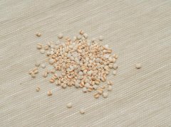 痰湿与脾胃虚关系解析：成因分析及调理方法指导