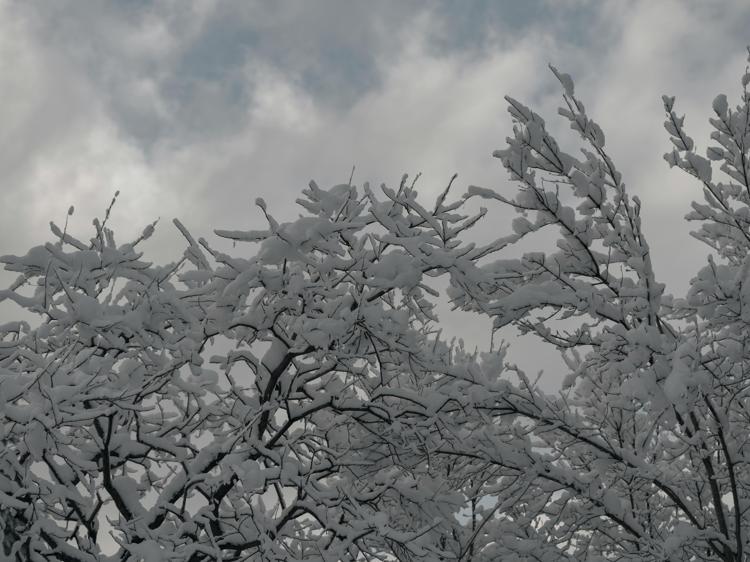 易上火溃疡还手脚冰凉?3个根源+4步调理