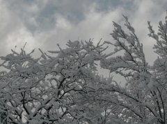 反复口腔溃疡还手脚冰凉？4步调理告别冰火两重天