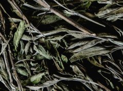 肝郁化火的症状表现与中医调理方法全解析