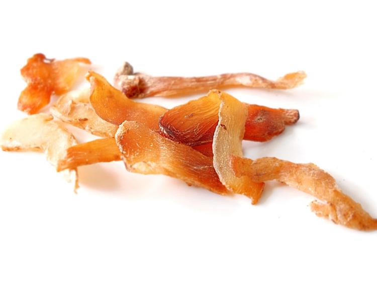 女性脾肾虚?5种常见食物温和调理,改善乏力畏寒