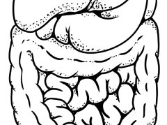 中医调理肝旺脾虚寒湿大症的科学方法与健康指导