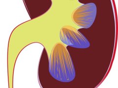 尿常规≠肾亏？中西医