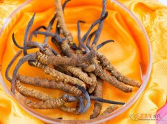 川椒药用妙处与正确使用指南