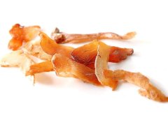 阳虚体质人群温热食物调理指南