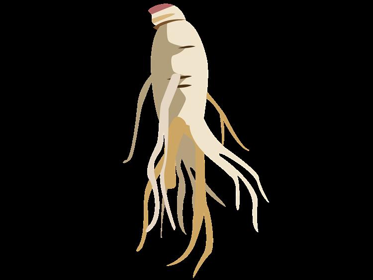 肾虚总不好？龟龄集怎么用才对？避开误区是关键