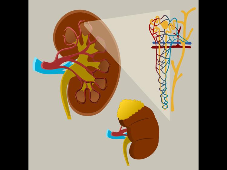 手淫后夜尿多？别只怪肾虚，这些原因要警惕