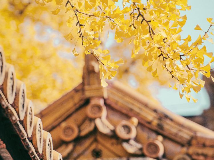 湿气重会引发紧张失眠？中医解析+科学调理方法帮你改善