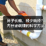 鼻子长痘、经少痛经？内分泌调理的科学方法（图2）