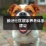 推进社区居家养老体系建设 政策支持促进服务升级