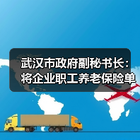 武汉市政府副秘书长：将企业职工养老保险单位费率由19%降至16%（图3）