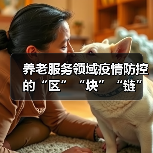 养老服务领域疫情防控的“区”“块”“链”（图3）