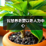 智慧养老要以老人为中心（图2）