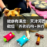 健康有温度：天津河西做细“养老机构+医疗服务”（图2）