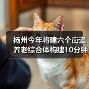 扬州今年将建六个街道养老综合体构建10分钟养老服务圈（图3）