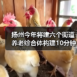 扬州今年将建六个街道养老综合体构建10分钟养老服务圈（图4）