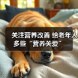 关注营养改善 给老年人多些“营养关爱”（图4）