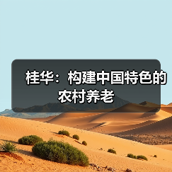 桂华：构建中国特色的农村养老（图3）