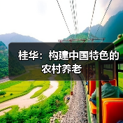 桂华：构建中国特色的农村养老（图4）