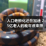 人口老龄化还在加速 2.5亿老人的晚年谁来照看？（图4）
