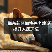 郑东新区加快养老建设提升人居环境（图4）