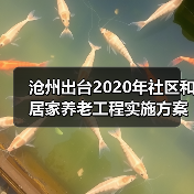 沧州出台2020年社区和居家养老工程实施方案（图3）