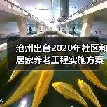 沧州出台2020年社区和居家养老工程实施方案（图2）