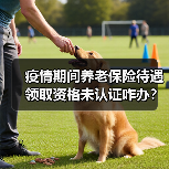 疫情期间养老保险待遇领取资格未认证咋办？青岛：不停发（图1）