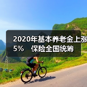 2020年基本养老金上涨5%　保险全国统筹（图2）
