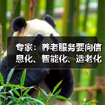 专家：养老服务要向信息化、智能化、适老化方向发展（图3）
