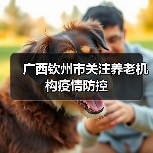 广西钦州市关注养老机构疫情防控（图4）