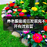养老服务规范发展离不开有效监管（图3）