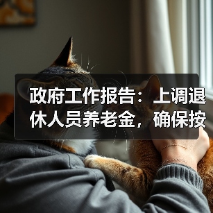 政府工作报告：上调退休人员养老金，确保按时足额发放（图4）
