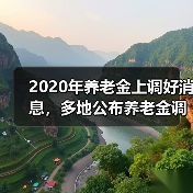 2020年养老金上调好消息，多地公布养老金调整方案（图2）
