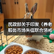 民政部关于印发《养老服务市场失信联合惩戒对象名单管理办法（试行）》的通知（图3）