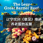 辽宁出台《意见》推进养老服务发展（图1）