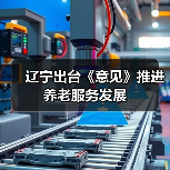 辽宁出台《意见》推进养老服务发展（图3）