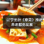 辽宁出台《意见》推进养老服务发展（图2）